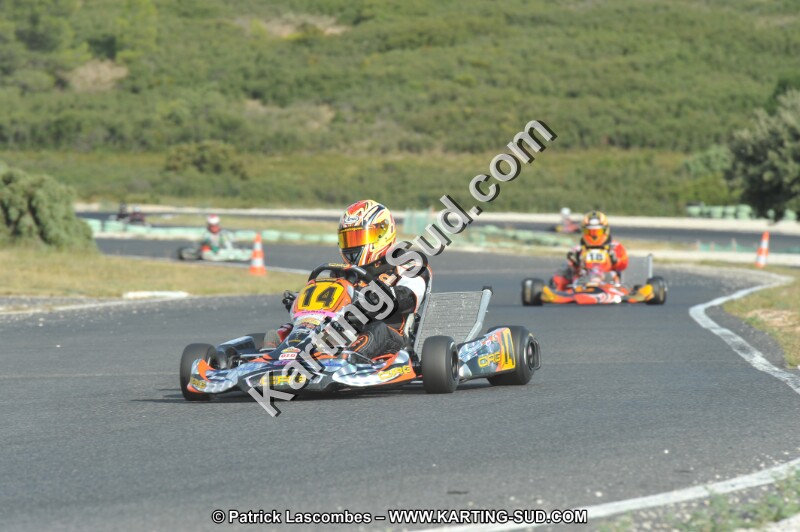 DSC (4098).JPG